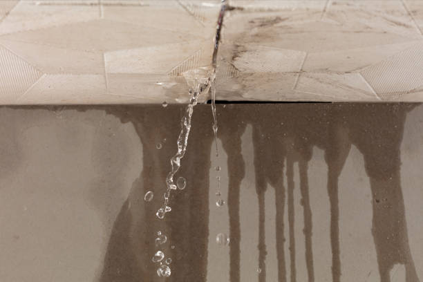 Professional Water Extraction technician working in Britt, IA